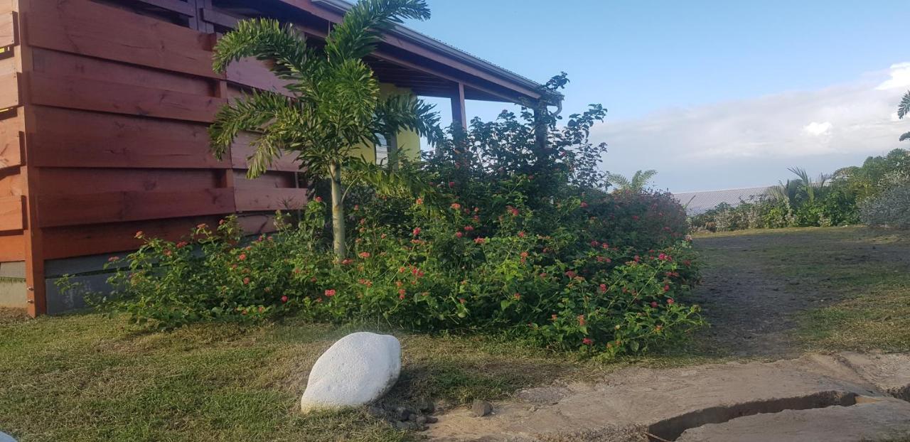 L'Alizee & Spa Jacuzzi Privatif Haut De Gamme Sainte-Rose Buitenkant foto